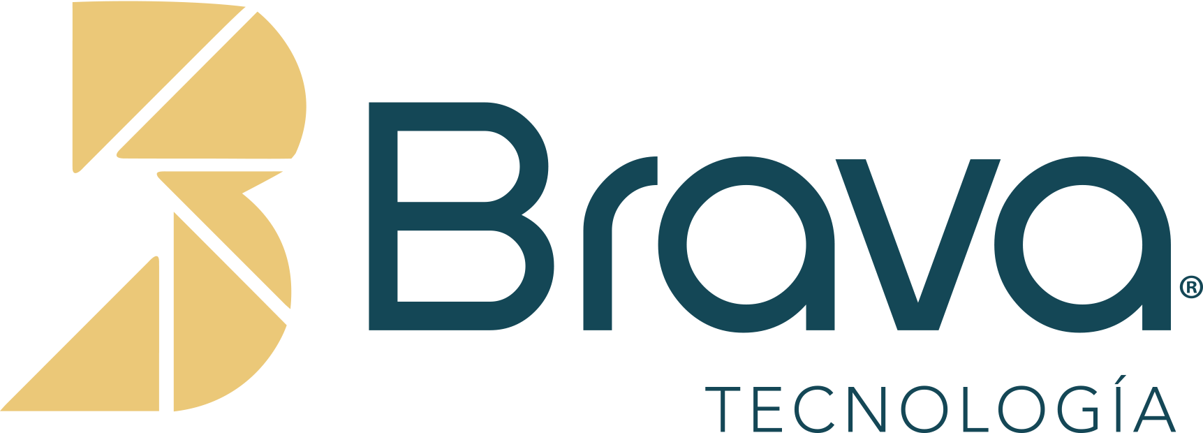 Brava Tecnología S.A.